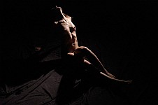 Nue Anonyme